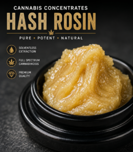 Learn about cannabis concentrates and hash rosin in the UK, including extraction methods, potency, cannabinoids, safety, laboratory testing and UK legal considerations.